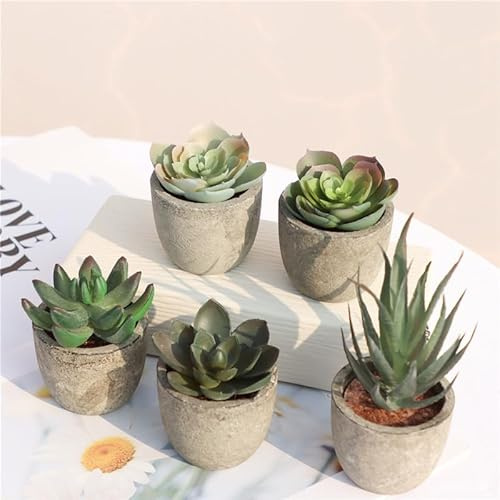 Vurixfo 5 Pcs Artificial Succulent Plant Potted Set, Mini Fake Plant in Pot | Mini Potted Artificial Plants, Indoor Greenery Potteds Plastic Plant, for House Office Balcony Desk Bathroom Decor