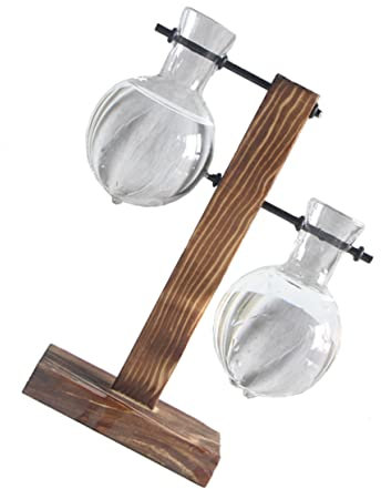 FONDOTIN 1satz Desktop Hydroponics Glasvase Mit Holzrahmen Für Pflanzen Transparentes Terrarium Für Tischdeko Für Blumen Und Luftreinigung Und Küche
