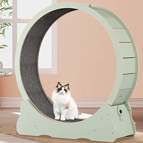Kattträningshjul för inomhusfitness, löparhjul för husdjur, löpband för små djur, perfekt för viktminskning och lek