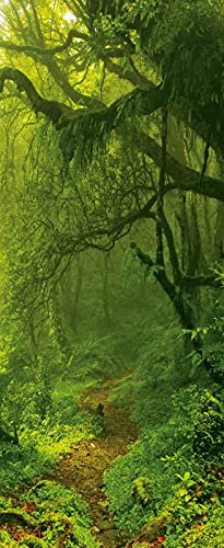 A.Monamour Türtapete Selbstklebend Türfolie Türposter 3D Grüne Bäume In Der Regenwald Dschungel Natur Vinyl Folie Türdeko Tapete Wandbild Türaufkleber Türtattoo 95 x 215 cm