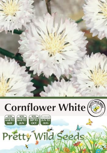 Cornflower White Seeds in Pictorial Packet - 5g