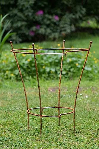 KUHEIGA Staudenhalter Rostig Höhe: 60cm - 2 TLG. Strauchhalter Rankgerüst, Rost