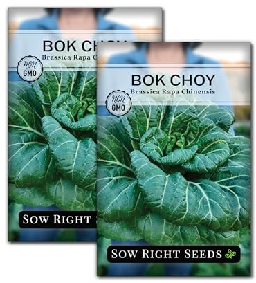 Sow Right Seeds - Bok Choy Seeds for Planting - Pak Choi or Chinese Cabbage - Non-GMO Heirloom Variety - Fresh Asian Greens in Your Home Vegetable Garden - Grow Outdoors or Indoors in Hydroponics (2)