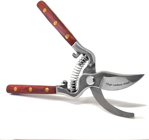 DaiMas - Forbici da Potatura e Giardinaggio ad Alto Tenore di Carbonio Manico tradizionale In Legno, Cesoie Potatura per Tagli Precisi fino a 2 cm, Bypass