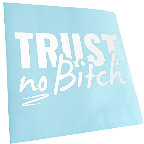 Kiwistar - Autoaufkleber - Weiß - 16x10cm Trust no B - Vertrau keiner Tussi Aufkleber für Auto, Laptop, Fahrrad, LKW, Motorrad mehrfarbig JDM Decal Racing