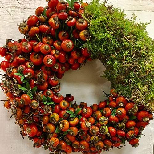 Kranz Herbstkranz für Tür und Tisch Hagebuttenkranz | Türkranz Tischkranz Kerzenkranz Dekokranz | handgebunden aus frischen Hagebutten und Moos | Natur Rot Grün Moosgrün | D 23-25cm