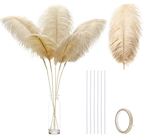 Grandes plumes d'autruche couleur champagne - Kit de fabrication de 12 plumes de 40 à 45 cm, style bohème, pour vase, centres de table de mariage et décoration intérieure