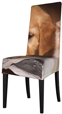 Stuhlhussen für Hunde und Katzen, abnehmbar, dehnbar, mit Flügelrücken, wiederverwendbar, für Esszimmer, Bankett, Heimdekoration