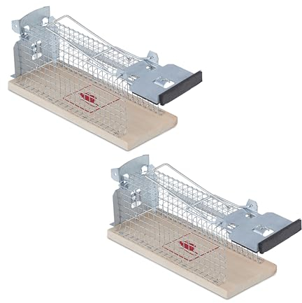 Relaxdays Trappola per Topi Vivi, Set da 2, Scaccia Roditori con Esca, HLP: 7x16x6,5 cm, Mouse Trap, Naturale Argento, Legno, 7 x 16 x 6.5 cm