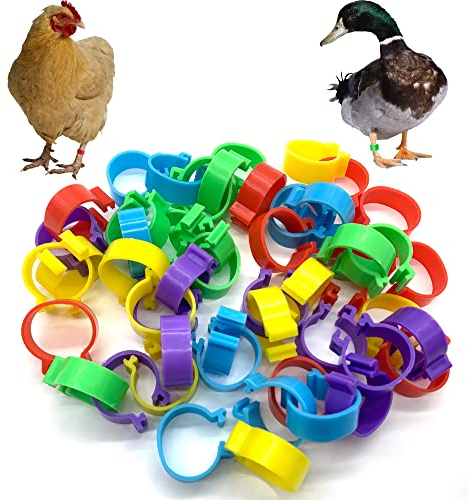 DHER Fußringe für Geflügel 50 Stück Geflügel Fußringe in 5 Farbe,Praktische Markierung für Hühner,18mm Tauben und mehr，Einfach zu installieren und wiederverwendbar Geflügel Fußringe Hähnchen Beinringe