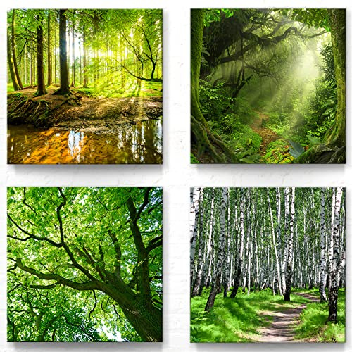 BilderKing Wald und Bäume Motive als Leinwand-Bilder Deko - jedes Bild ist 50x50cm groß - 4-teiliges Landschaftsbilder Set, aufhängefertige moderne Naturbilder für Wohnzimmer Schlafzimmer Set-A, Grün