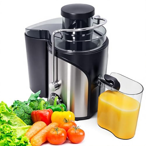 WOOX Exprimidor de Zumos, Exprimidor Eléctrico Silencioso para Verduras y Frutas de Acero Inoxidable, Recipiente de 500 ml, Negro/Acero