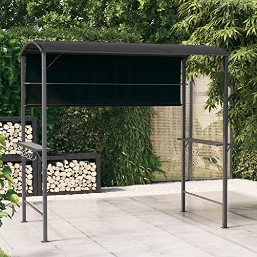 Tonnelle de jardin, tente de garage, tonnelle avec toit, 220 x 110 x 200 cm, anthracite, pour extérieur, jardin, camping