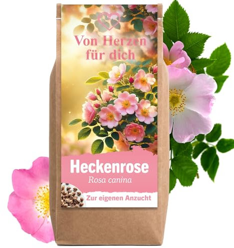 Geschenke für Frauen Heckenrose Rosensamen Blumensamen Anzuchtset Geburtstagsgeschenk für Frauen Dankeschön Geschenke Mutter Tochter Geschenk Hochzeit Geschenk für Freundin