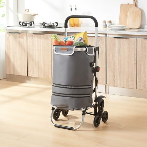 [en.casa] Einkaufstrolley Neef Treppensteiger Einkaufswagen klappbar Shopping Trolley mit Kühlfach Einkaufsroller 41 Liter bis 20 kg belastbar abnehmbare Einkaufstasche Einkaufsrollwagen Dunkelgrau