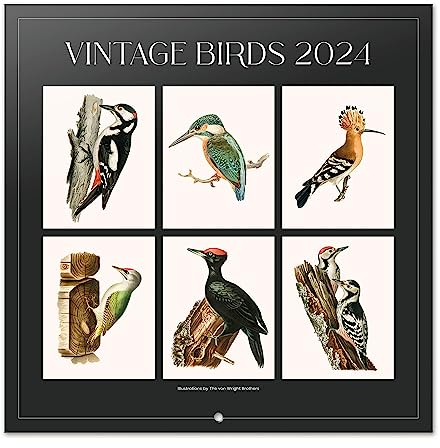 Grupo Erik Kalender 2024 Wandkalender 2024 - Vintage Vögel Kalender 2024 Familienplaner 30 x 30 cm 12 Monate + Letzten 4 Monate 2023 auf einer Seite