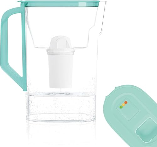 Wessper Caraffa Filtrante per Acqua 2,7 Litri, Brocca Acqua Filtrante con Indicatore LED, Caraffa Acqua con Filtro Classico, Caraffa Acqua per Frigorifero, “BPA FREE”, Menta