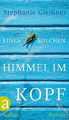 Einen solchen Himmel im Kopf: Roman