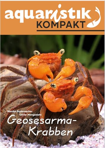 Geosesarma-Krabben - aquaristik KOMPAKT