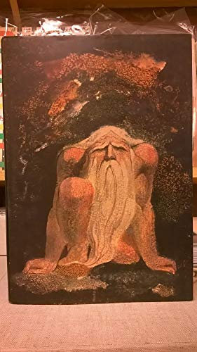 The Urizen Books: The First Book of Urizen, the Book of Ahania, the Book of Los (6) (Blake's Illuminated Books, Band 6)
