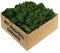 GJS Mousse de Renne - 1kg / 500g / 200g, différentes Couleurs - Vraie Mousse Naturelle (Islande) conservée (Vert Foncé, 500)