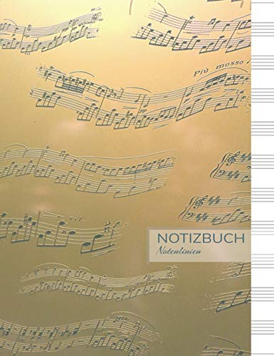 Notenlinien Notizbuch: Notenlineatur Notenblätter Notenpapier Buch für Musiker und Musiklehrer