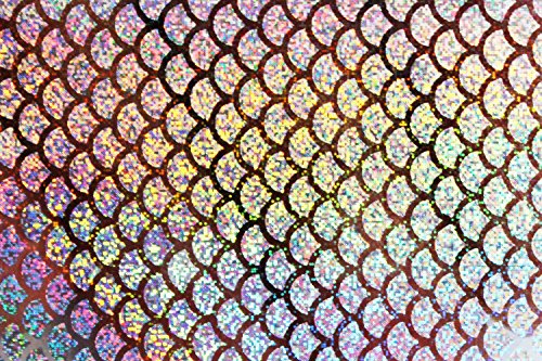Tigofly Holografischer Film, 6 Farben, 10 x 21 cm, 6 Stück, 10 x 21 cm, Laser, künstliche Fischhaut, DIY-Sticker zum Fliegenbinden (sortiert je 1 Stück) | 10 x 21 cm, künstliche Fischschuppe, Jig-Aufkleber, harte Köderaufkleber