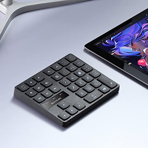 SurnQiee Teclado Bluetooth para iPad Procreate, teclado inalámbrico recargable para Procreate, y atajos de dibujo para iPad y tabletas gráficas (negro)