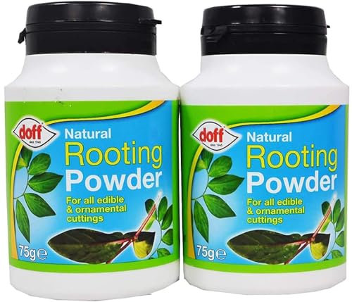 Doff Natural Rooting Powder 75g Growth Promotes Strong and Healthy Roots For Robust Root All Edible Plants and Ornamental Cuttings (2)
