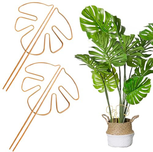 Monstera - Set di 2 supporti per piante da appartamento, per alocasia e monstera (oro)