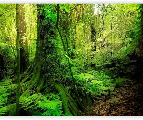 Fotomurales Decorativos Pared Selva Tropical 400x280 cm Papel Pintado Tejido No Tejido Paisaje Natural Fotomural 3D Mural Paredes Papel Tapiz Decoración Salón o Dormitorio a.10150