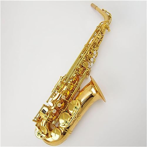LABLADUO Saxophon für Anfänger, Saxophon, Musikinstrument, Goldlack, Saxophon, Alt-Saxophon, EB, Blasinstrument aus Messing, Saxophon, geeignet für Erwachsene Anfänger