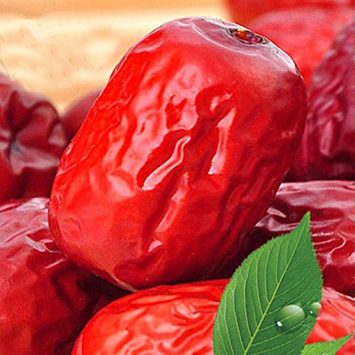 Jujube Frühling Biologische Schönheit, 250 g (0,55 LB) – Jujubetetee, duftender Tee mit Blüte, roher chinesischer Grüntee