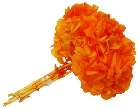 Zelda Bomboniere Hortensia Stabilisé à 4 tiges Diamètre 20 cm Orange