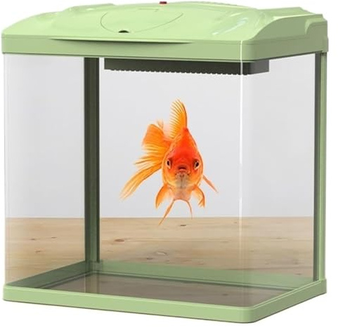 CSYQPDMBDL Kugelaquarium, Goldfischglas, Fischglas-Glastank mit LED-Leuchten, Kleiner Heimtank mit Wasserpumpe, Aquarien