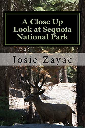 A Close Up Look at Sequoia National Park: Volume 1 (A Close Up Look at National Parks)