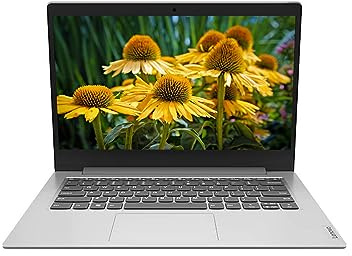 Lenovo IdeaPad 1, 14 Notebook, Full HD(1920 x 1080), AMD Athlon Silver 3050e Dual-core (2 Core) 1.40 GHz, 4 GB RAM, 128 GB SSD, Windows 11 Home, HDMI, Platinum Gray, EAT 64GB SD Card