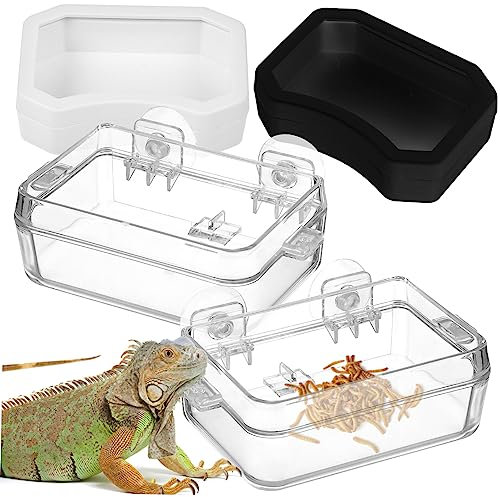 POPETPOP 4stücke Reptilien Futter Und Wasserschalen Transparente Fressschalen Mit Starken Saugnäpfen Für Eidechsen Bartagamen Geckos Lebensmittelechtes Sicher Und Komfortabel Für Ihr