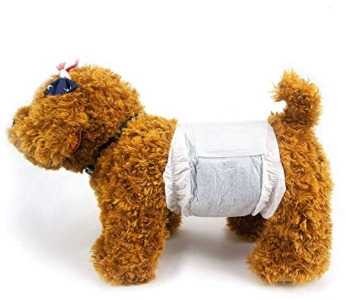 Dono desechable Masculino Envuelve pañales para Perros (S 22count)