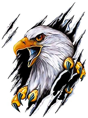 Adesivi per Auto Aquila 3D, Animale Auto-Styling 3D Adesivi per Auto Personalizzati Stickmotormotorcycle Adesivo Fuoristrada Occlusione Da Graffio
