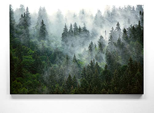 Ein Atemberaubendes Bild – Wald von oben - als 200x150cm große XXL Leinwand. Tolles Wandbild als Hintergrund und Deko für Wohnzimmer & Schlafzimmer. Fertig aufgespannt auf 4cm Holz-Keilrahmen