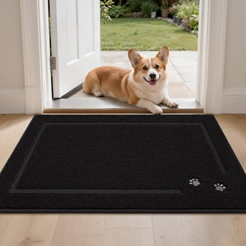 BEQHAUSE Schmutzfangmatte, rutschfest und Schmutzfangend, Schwarz, 60x90cm | Waschbar Eingang Fussmatte Innen, Polyester, für Front Hintertür, Eingang, Flur, Niedriges Design, Haustierfreundlich