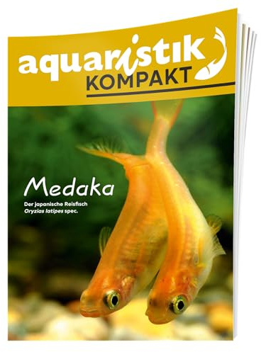 Medaka - aquaristik KOMPAKT - Der japanische Reisfisch Oryzias latipes spec.