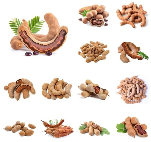 semi di tamarindo biologici di tamarindo da colonnari da colonnari da balcone resistenti, aiuole rialzate 40pcs