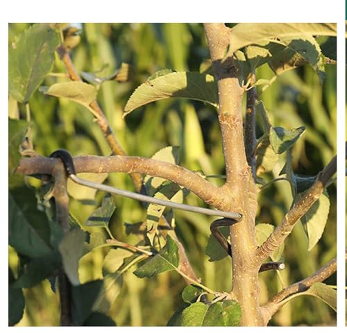 Écarteur de Branches pour Arbres Fruitiers 20 Pièces, Angle Réglable 45°-110°, Outil de Palissage en Plastique Résistant UV, Rétracteur de Branches pour Pommier Poirier Cerisier (18cm)