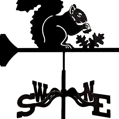 EICOFF Girouette, pêcheur à girouette, indicateur de Direction du Vent en Fer, Outil de Mesure Professionnel en Acier Inoxydable, girouette, Piquet de Jardin extérieur, Artisanat de décoration de s
