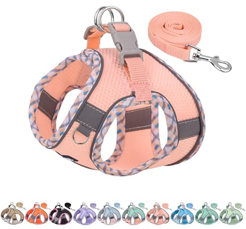 AIITLE Ensemble Harnais et Laisse pour Chien, Harnais Anti-Traction pour Chiot avec Maille Super Respirante, Essentiels pour Chiots pour Petits Chiens, Chats Rose XS