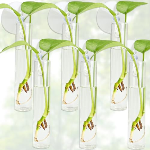 FOWSRHRG 6PCS Wall Hanging Planter Propagation Stations,Plant Tube with Suction Cup Hook,Test Tube Propagation Station Wall Clear Plant Vase No Nails with Bottle Brush Flower Plant Terrarium