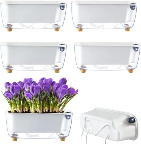 USTEL Set di 5 fioriere autoirriganti, 30 x 11,7 cm, rettangolari, trasparenti, per orchidee e violette