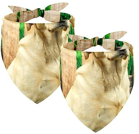 Passendes Set mit Hundehalstüchern, Hundelätzchen, Schal, Dreieckstuch für Hunde, Katzen, Haustierbesitzer, Mutter und Vater, 2er-Pack,Tierischer Labrador